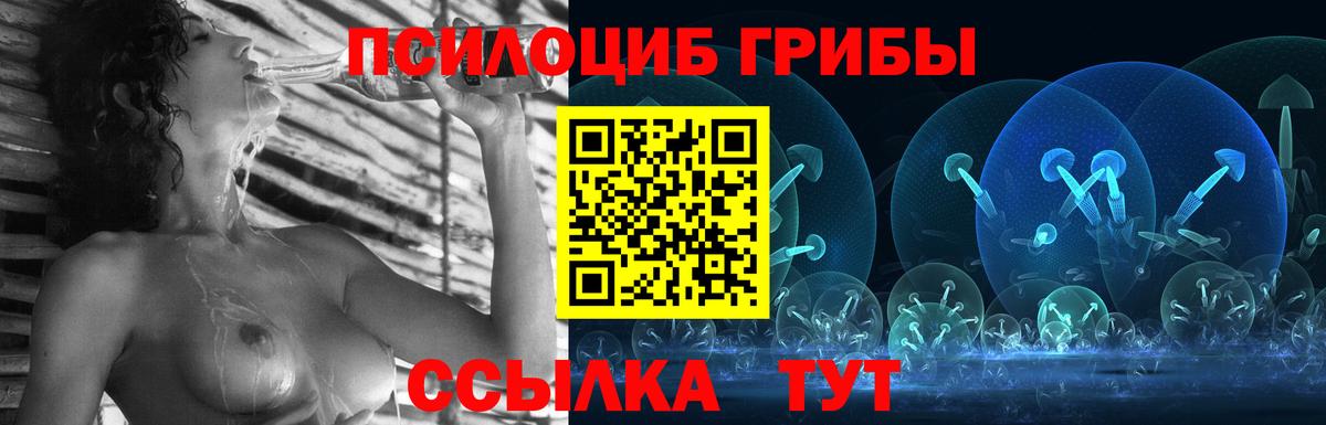Железногорск  Псилоцибиновые грибы GOLDEN TEACHER  Псилоцибиновые грибы Psilocybe  Вход с VPN 